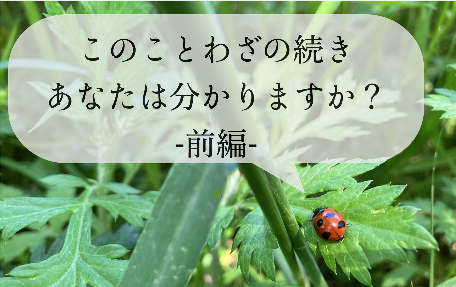 このことわざの続き あなたは分かりますか？ -前編-